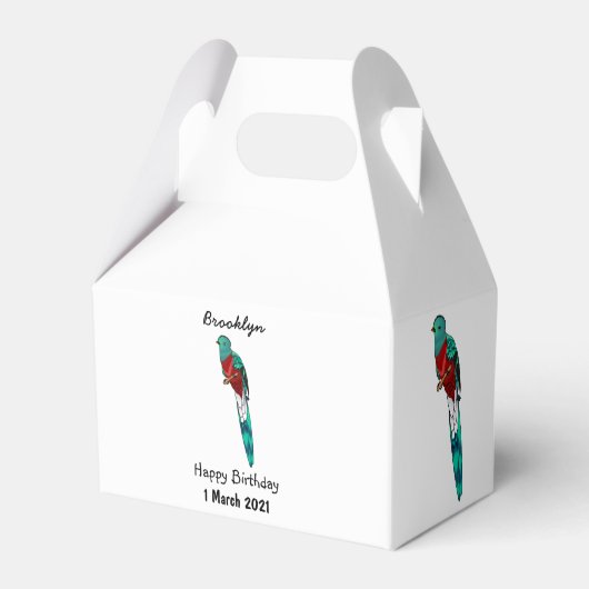 豪華なケツァル鳥の漫画イラストレーション フェイバーボックス (正面サイド)