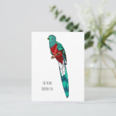 豪華なケツァル鳥の漫画イラストレーション ポストカード (スタンド正面)
