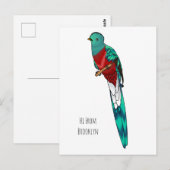 豪華なケツァル鳥の漫画イラストレーション ポストカード (正面/裏面)