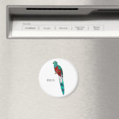 豪華なケツァル鳥の漫画イラストレーション マグネット (インサイチュ (食洗機))