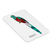 豪華なケツァル鳥の漫画イラストレーション マグネット (右側)