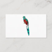 豪華なケツァル鳥の漫画イラストレーション 名刺 (裏面)