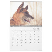 豪華なジャーマン・シェパードのカレンダー カレンダー (3月 2026)