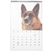 豪華なジャーマン・シェパードのカレンダー カレンダー (1月 2027)