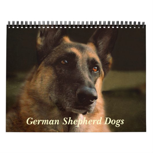 豪華なジャーマン・シェパード犬のカレンダー カレンダー (カバー)