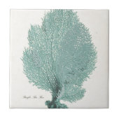 豪華なターコイズまたは水の太平洋の海ファン タイル (正面)