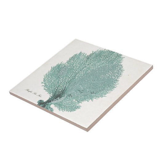 豪華なターコイズまたは水の太平洋の海ファン タイル (側面)