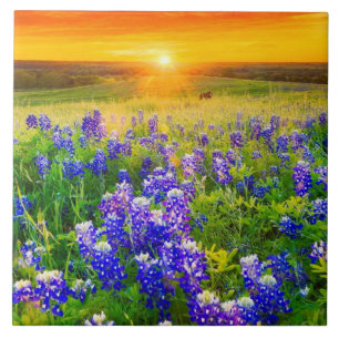 豪華なテキサス州bluebonnets タイル