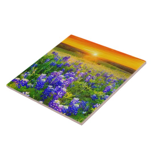 豪華なテキサス州bluebonnets タイル (側面)