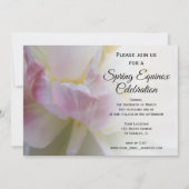 豪華なピンクと白のチューリップ 春分の日のお祝い 招待状 (正面)