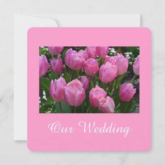 豪華なピンクのチューリップの花結い 招待状 (裏面)