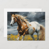 豪華なピント馬 ポストカード (正面/裏面)