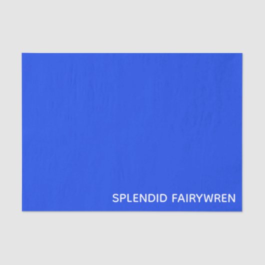 豪華なフェアウィーレンブルーの色名 薄葉紙 (正面)