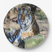 豪華なベンガルの虎 ペーパープレート (正面)