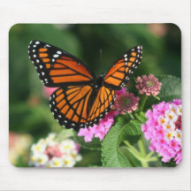 豪華なマダラチョウのデザイン