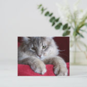 豪華なレーズンポストカード4 ポストカード (スタンド正面)