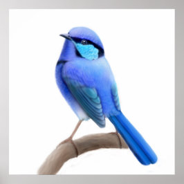 豪華な妖精ウォレンバードプリント ポスター