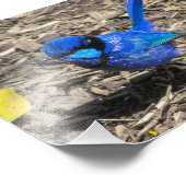 豪華な妖精ウォーレン写真プリント フォトプリント            (角)