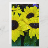 豪華な庭のヒマワリ 便箋 (正面/裏面)