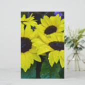 豪華な庭のヒマワリ 便箋 (スタンド正面)