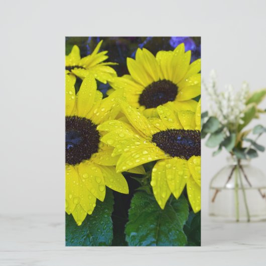 豪華な庭のヒマワリ 便箋 (スタンド正面)
