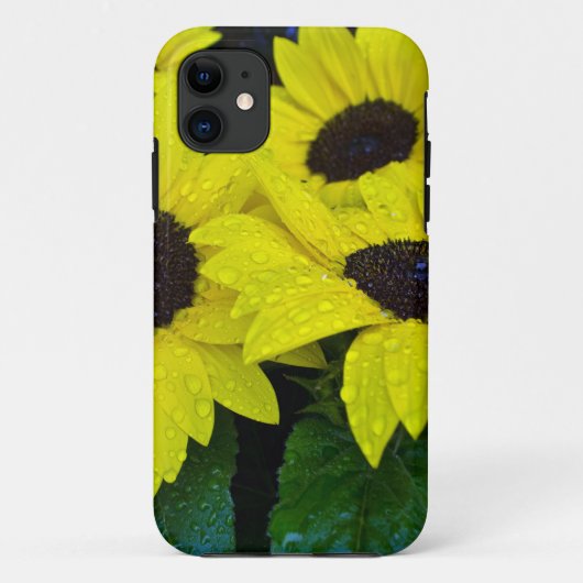 豪華な庭のヒマワリ Case-Mate iPhoneケース (裏面)