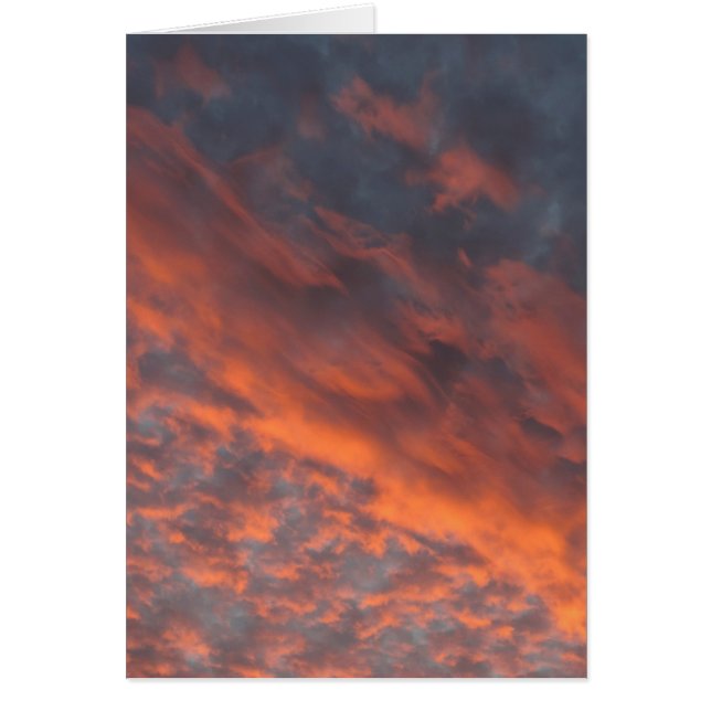 豪華な日没 (正面)