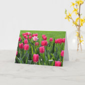 豪華な春ピンクのチューリップ花ハッピーバースデー カード (黄色い花)