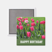 豪華な春ピンクのチューリップ花ハッピーバースデー マグネット (正面/裏面)