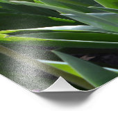 豪華な春ピンクのチューリップ フォトプリント            (角)