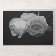 豪華な白いバラ
