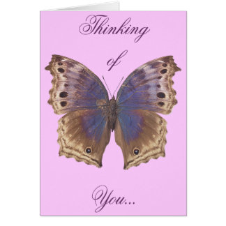 豪華な紫色の蝶