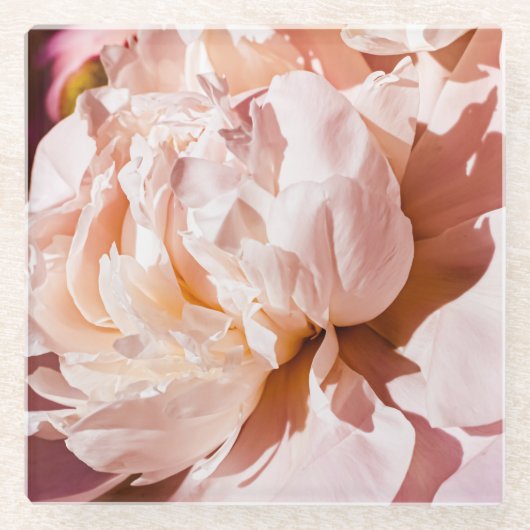 豪華な芍薬の花の背景 ガラスコースター (正面)