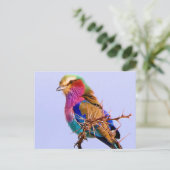 豪華な薄紫Breastedのローラーのアフリカ人の鳥 シーズンポストカード (スタンド正面)