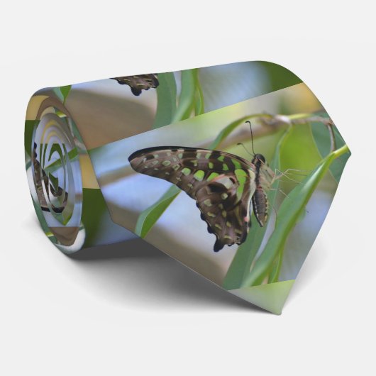 豪華な蝶 ネクタイ (ロール)