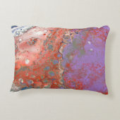 豪華な装飾用クッション アクセントクッション (裏面)