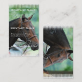 豪華なWarmbloodの馬の名刺 名刺 (正面/裏面)