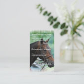 豪華なWarmbloodの馬の名刺 名刺 (スタンド正面)