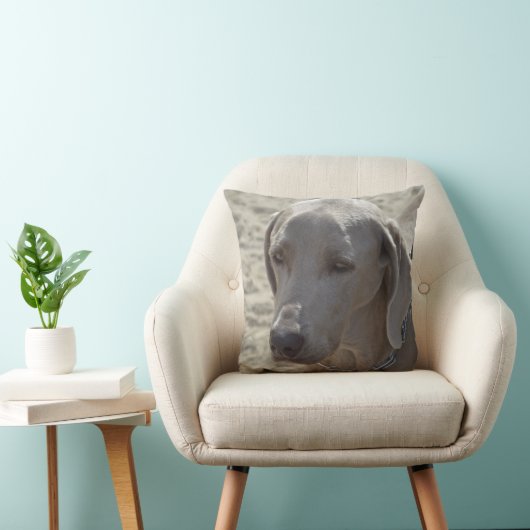豪華なWeimaraner クッション (椅子)