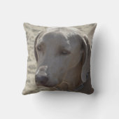 豪華なWeimaraner クッション (裏面)