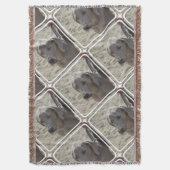 豪華なWeimaraner スローブランケット (正面縦)