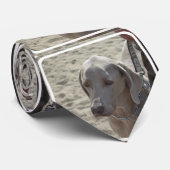 豪華なWeimaraner ネクタイ (ロール)