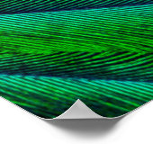 豪華ケツァル羽デザイン ポスター (角)