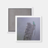 豪華ケツァル2x2磁石 マグネット (正面/裏面)