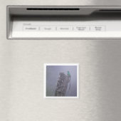 豪華ケツァル2x2磁石 マグネット (インサイチュ (食洗機))