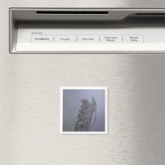 豪華ケツァル2x2磁石 マグネット (インサイチュ (食洗機))