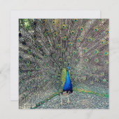 豪華: きらめく5.25"をx 5.25"招待状真珠で飾って下さい 招待状 (正面/裏面)