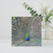 豪華: きらめく5.25"をx 5.25"招待状真珠で飾って下さい 招待状 (スタンド正面)