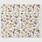 貝のコレクターの包装紙 ラッピングペーパー (フラット)
