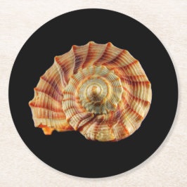 貝のコースター ラウンドペーパーコースター